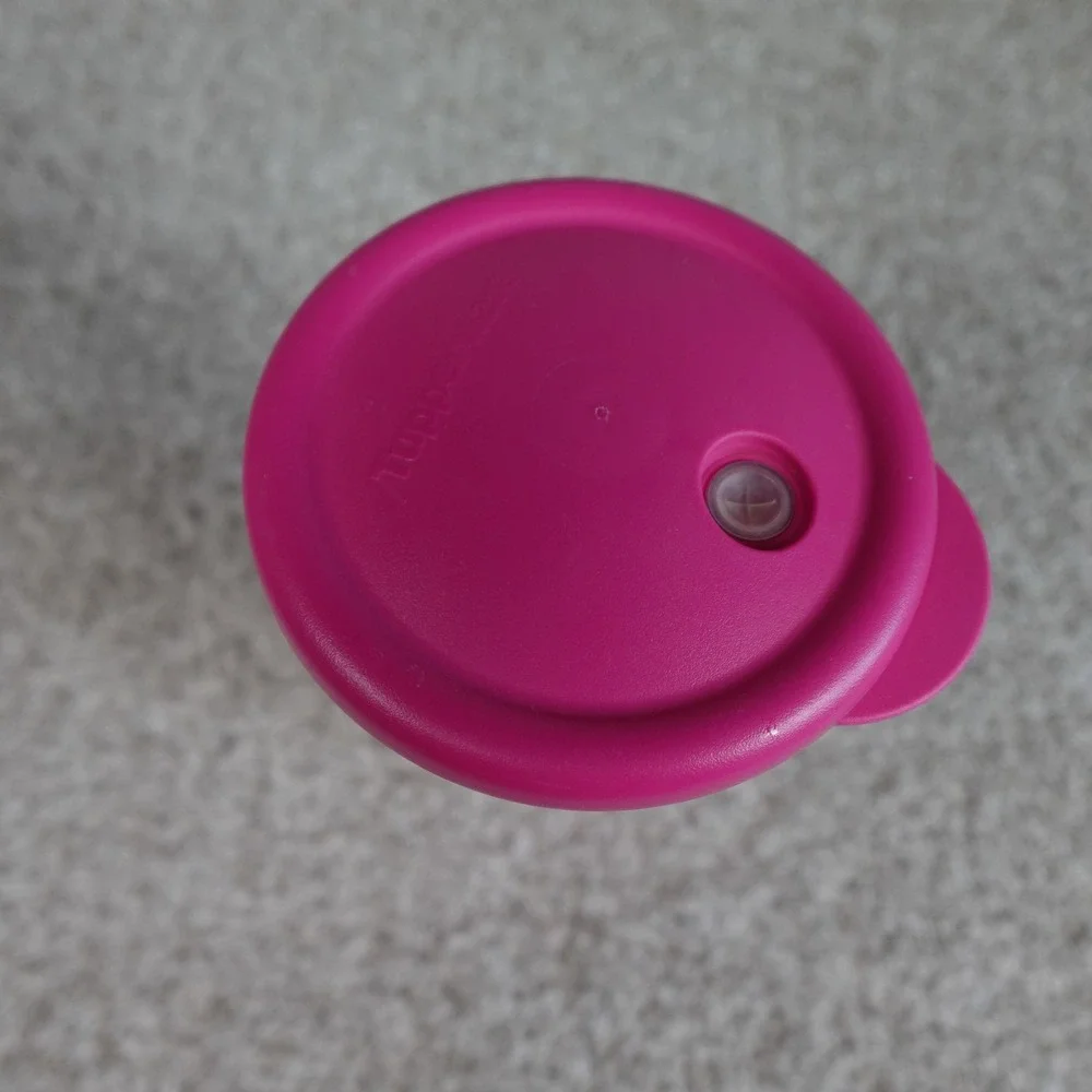 Tupperware Pink Double Wall 24oz Tumbler with Straw Seal Lid 3329A-1